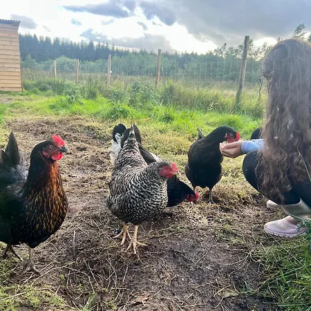 Welcome To The Pod Balnacart