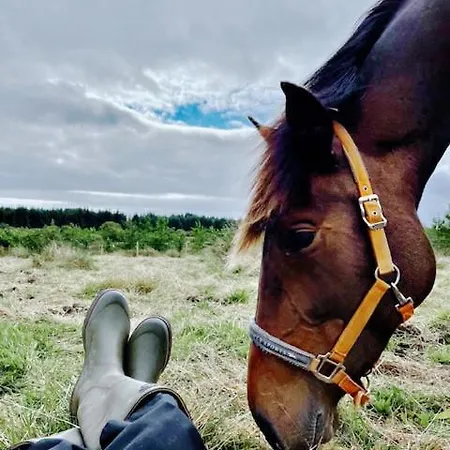 Welcome To The Pod *