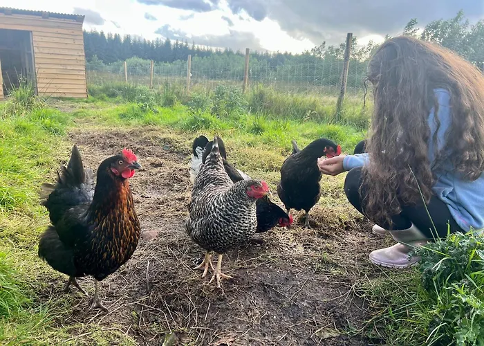 Welcome To La Petite Ferme & Family Balnacart